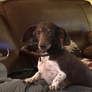 Meet your Posher, Kevin